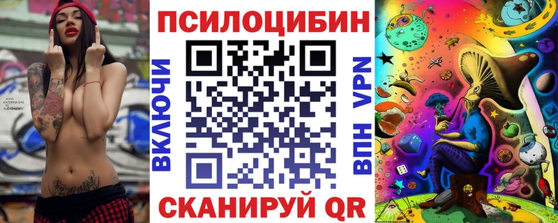 Псилоцибиновые грибы Psilocybine cubensis  Купить  Новошахтинск 