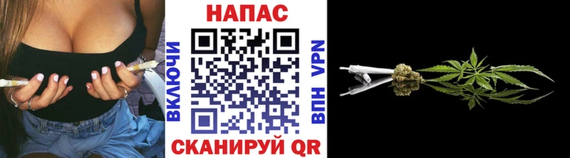 Купить  Новошахтинск  Канабис планчик 